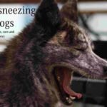 reverse Sneezing in dogs, causes of reverse Sneezing,